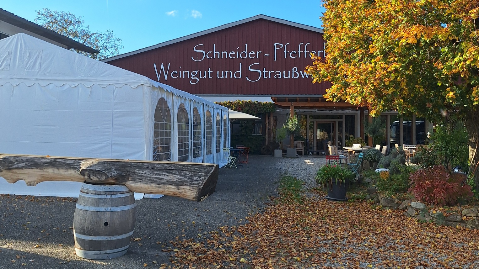 20251015 163148 resized