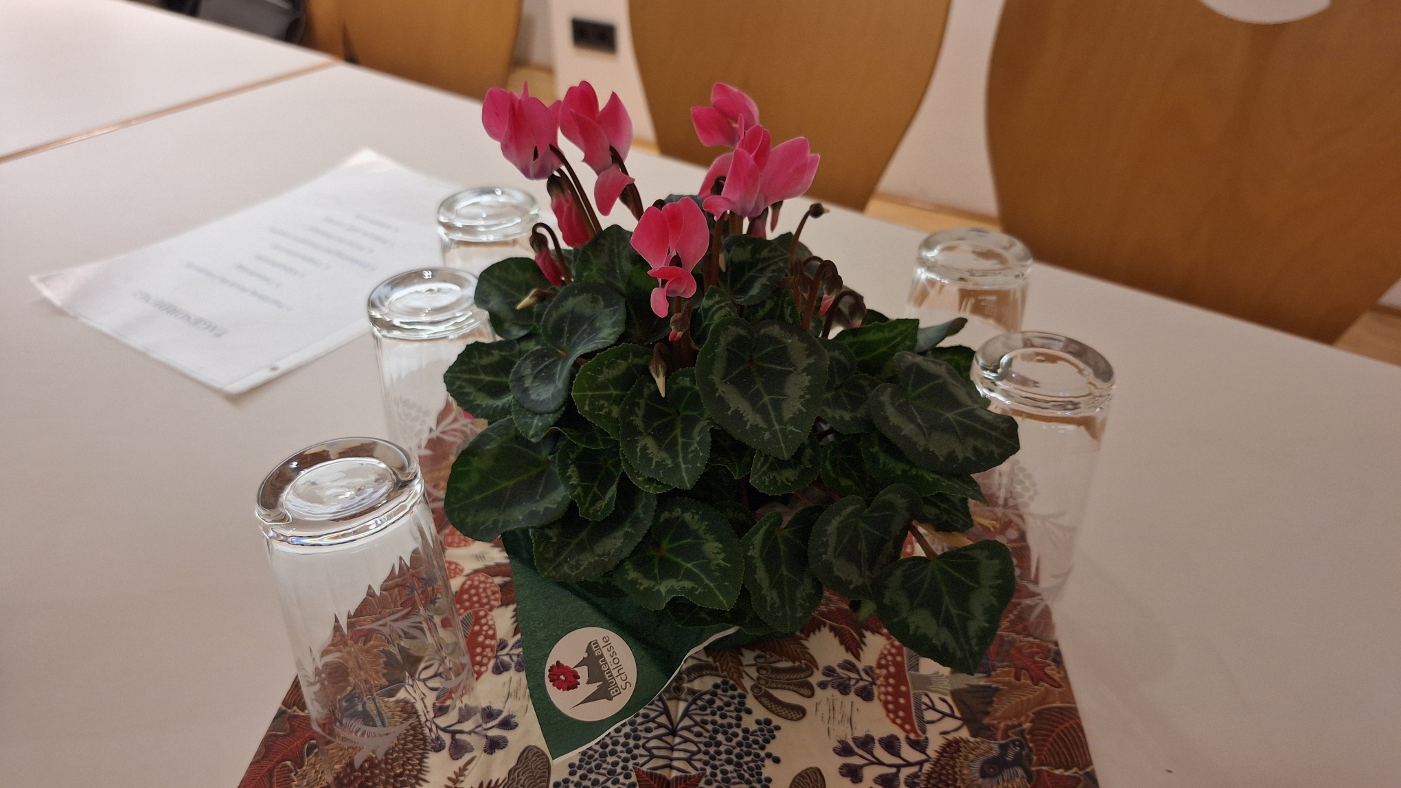 20251121 190602 resized